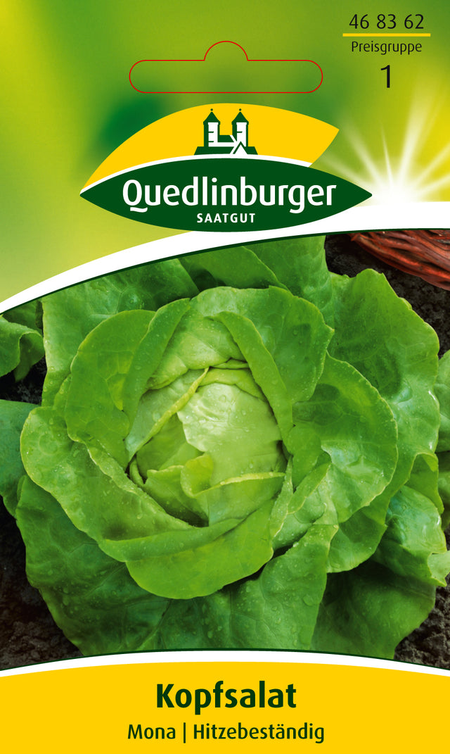 Quedlinburger Saatgut Kopfsalat „Mona“