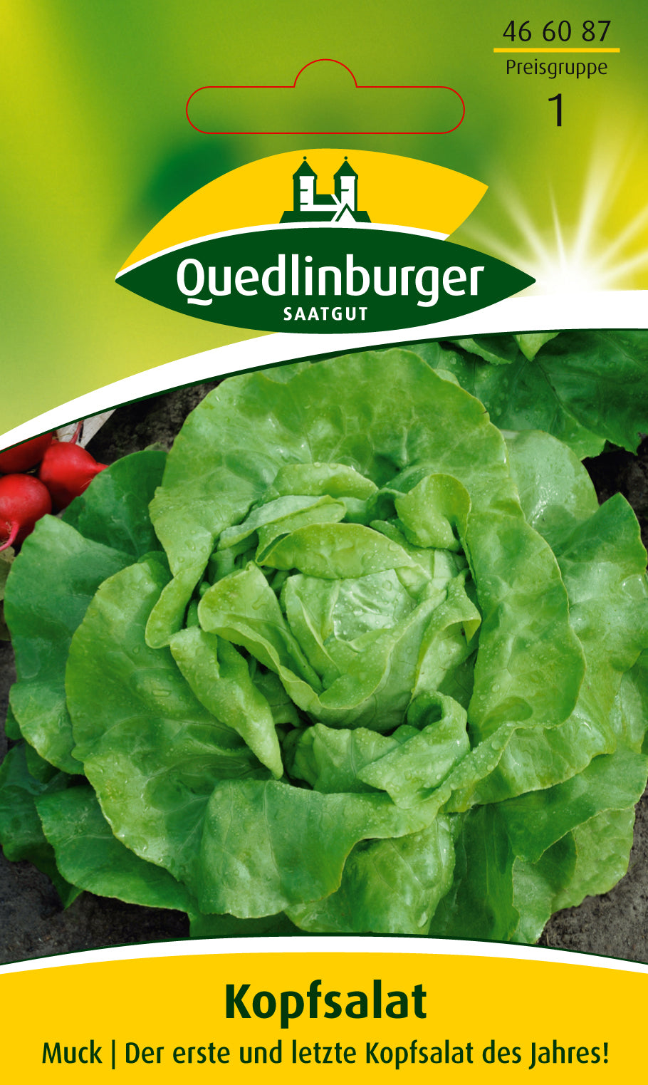 Quedlinburger Saatgut Kopfsalat „Muck“