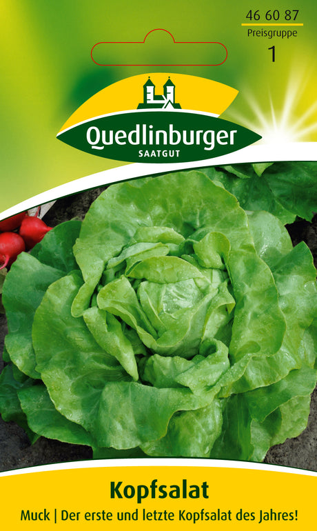 Quedlinburger Saatgut Kopfsalat „Muck“