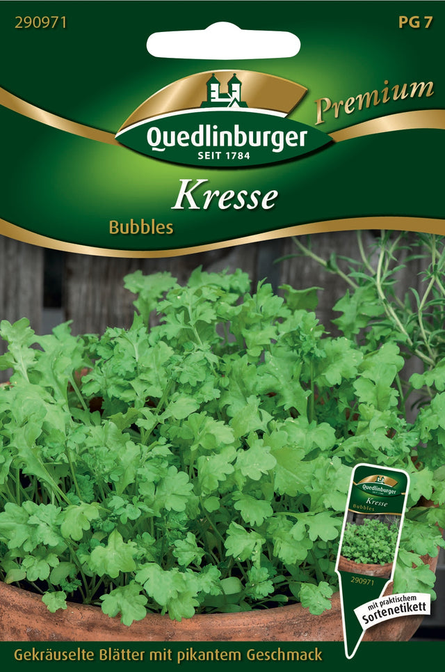 Quedlinburger Saatgut Kresse „Bubbles“