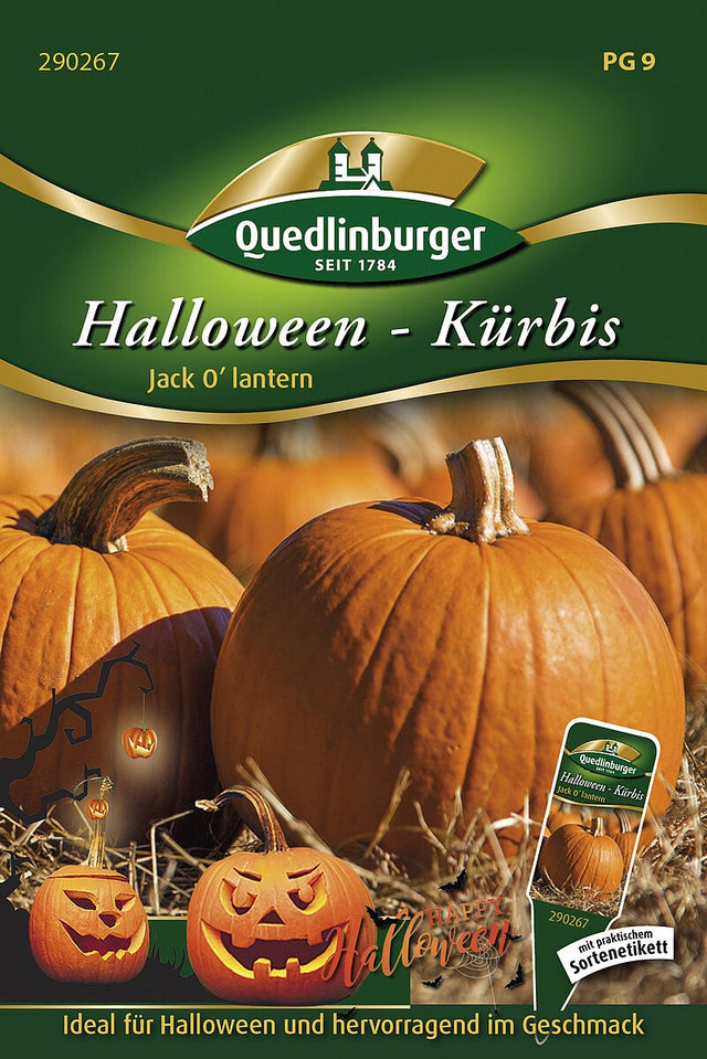 Quedlinburger Saatgut KÜRBIS „JACK O’LANTERN“ HALLOWEEN – Kürbis