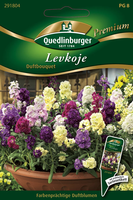 Quedlinburger Saatgut Levkojen „Duftbouquet“