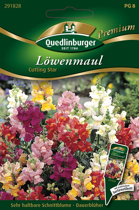 Quedlinburger Saatgut Löwenmaul „Cutting Star“