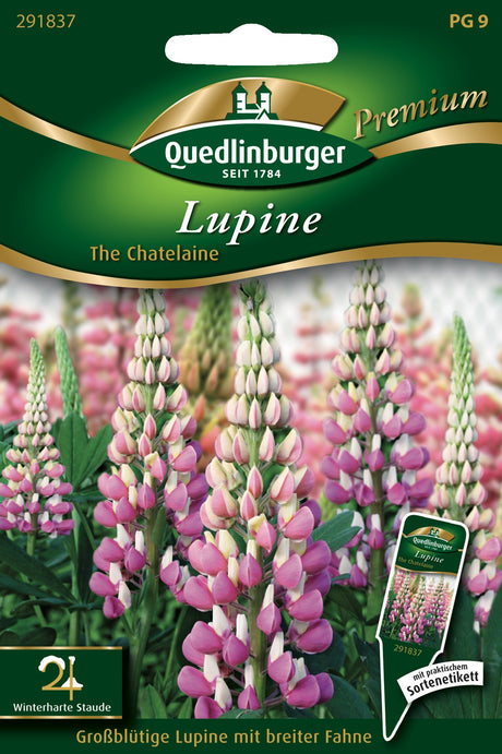 Quedlinburger Saatgut Lupine „The Chatelaine“