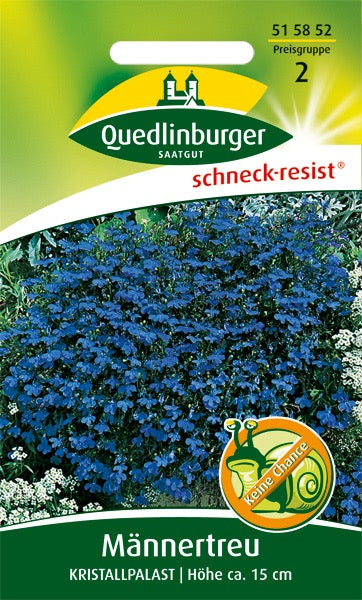 Quedlinburger Saatgut MÄNNERTREU „KRISTALLPALAST“