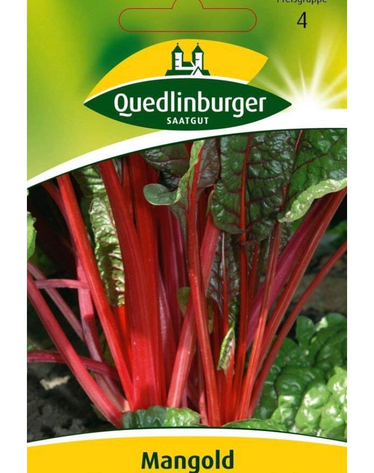 Quedlinburger Saatgut Mangold „Ampera“ rotstielig
