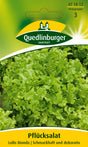 Quedlinburger Saatgut Pflücksalat „Lollo bionda“