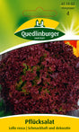 Quedlinburger Saatgut Pflücksalat „Lollo rossa“