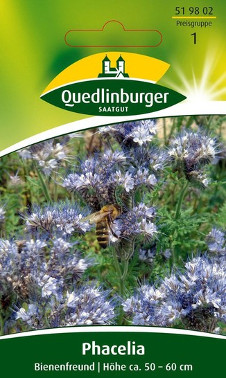 Quedlinburger Saatgut Phacelia „Bienenfreund“ Gründünger