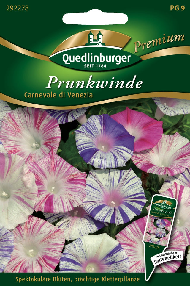 Quedlinburger Saatgut Prunkwinde „Carnevale di Venezia“