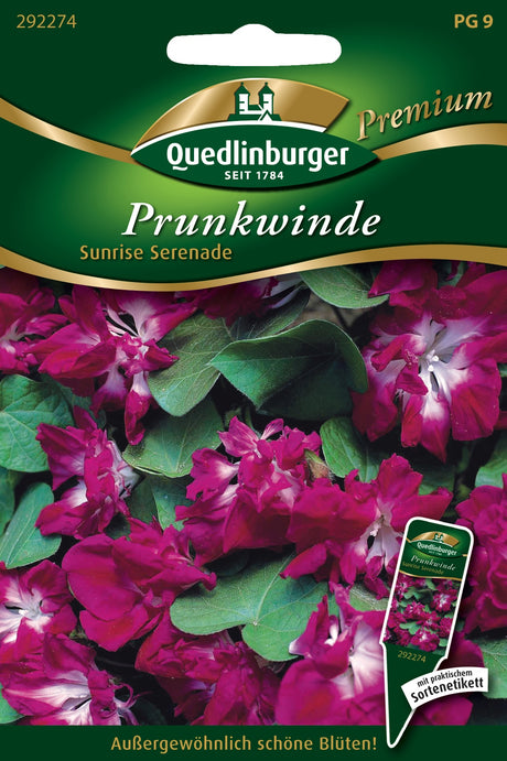 Quedlinburger Saatgut Prunkwinde „Sunrise Serenade“