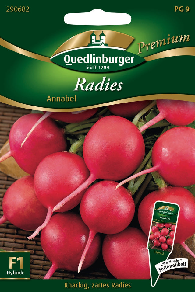 Quedlinburger Saatgut Radies „Annabel“