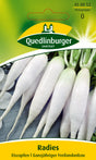 Quedlinburger Saatgut Radies „Eiszapfen“