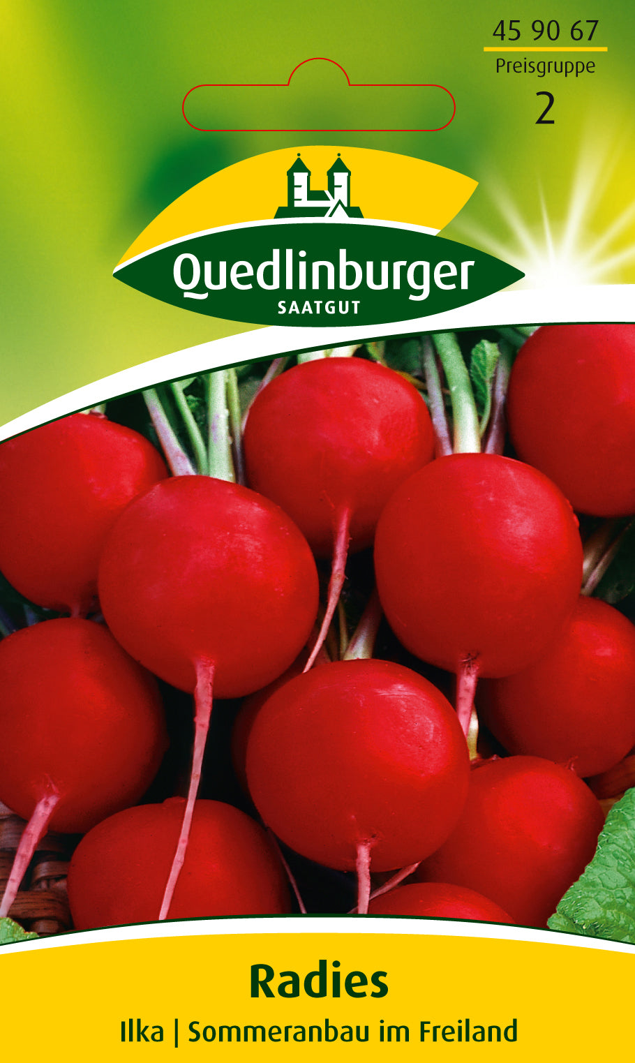 Quedlinburger Saatgut Radies „Ilka“
