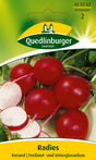 Quedlinburger Saatgut Radies „Korund“