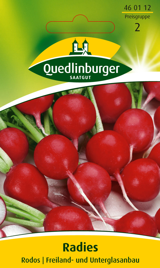 Quedlinburger Saatgut Radies „Rodos“