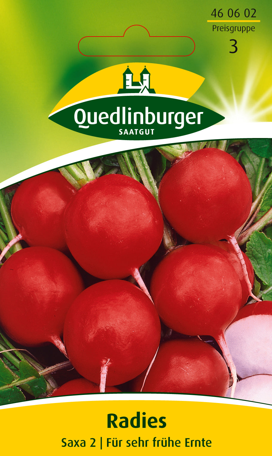 Quedlinburger Saatgut Radies „Saxa 2“