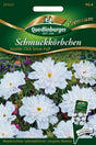 Quedlinburger Saatgut Schmuckkörbchen „Cosmea Double Click Snow Puff“