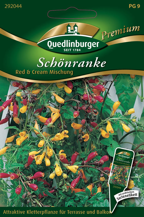 Quedlinburger Saatgut Schönranke „Red & Cream Mischung“