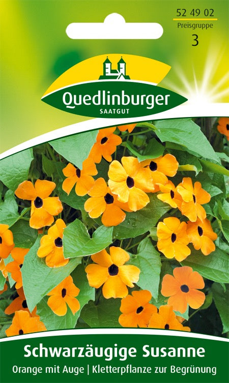 Quedlinburger Saatgut SCHWARZÄUGIGE SUSANNE „ORANGE MIT AUGE“