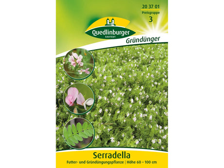 Quedlinburger Saatgut SERRADELLA (Gründünger)