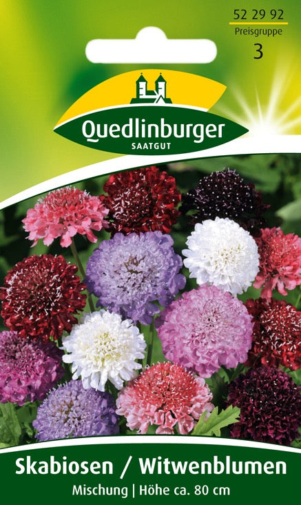 Quedlinburger Saatgut SKABIOSEN „WITWENBLUMEN“ MISCHUNG