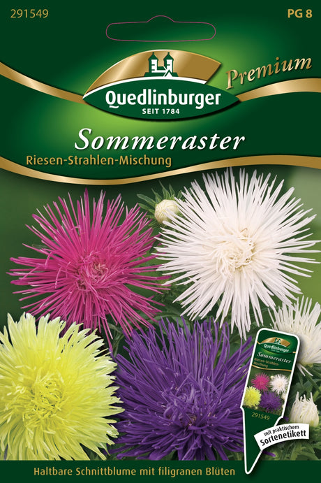 Quedlinburger Saatgut Sommeraster „Riesen-Strahlen-Mischung“