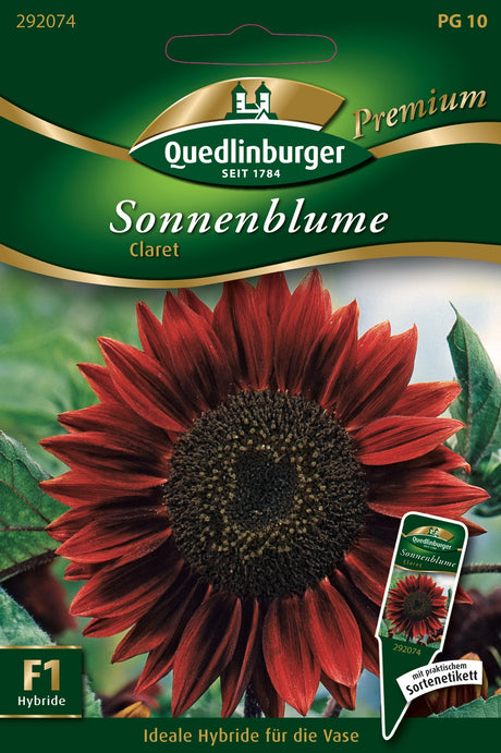 Quedlinburger Saatgut Sonnenblumen „Claret“
