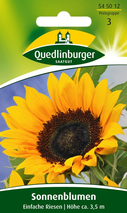Quedlinburger Saatgut SONNENBLUMEN „EINFACHE RIESEN“