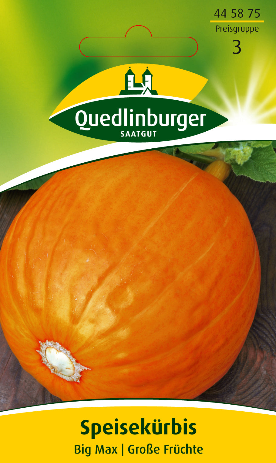 Quedlinburger Saatgut Speisekürbis „Big Max“