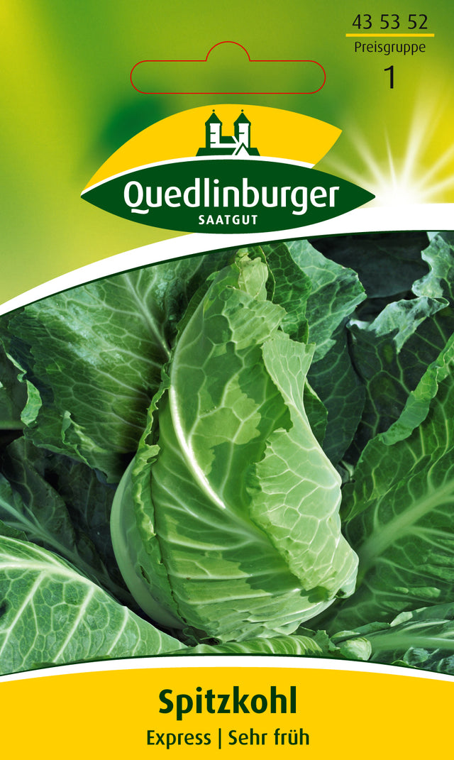 Quedlinburger Saatgut Spitzkohl „Express“