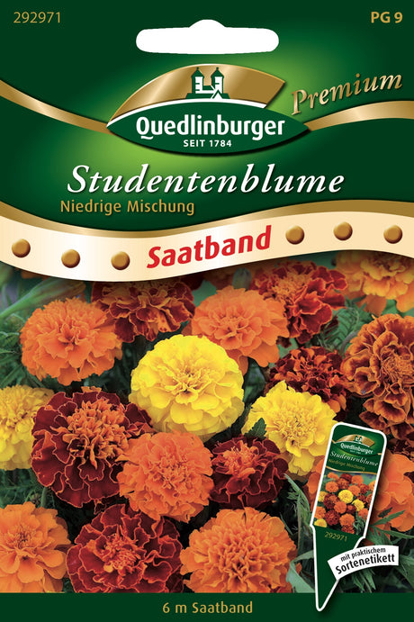 Quedlinburger Saatgut Studentenblume „Niedrige Mischung“