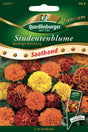 Quedlinburger Saatgut Studentenblume „Niedrige Mischung“
