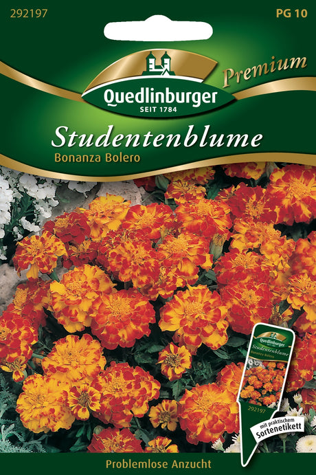 Quedlinburger Saatgut Studentenblumen „Bonanza Bolero“