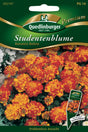 Quedlinburger Saatgut Studentenblumen „Bonanza Bolero“