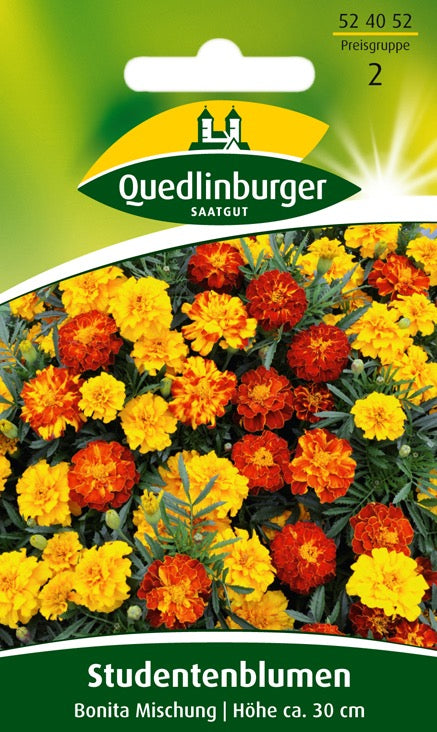 Quedlinburger Saatgut STUDENTENBLUMEN „BONITA MISCHUNG“