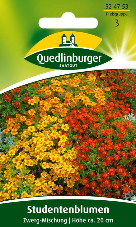 Quedlinburger Saatgut STUDENTENBLUMEN „ZWERG-MISCHUNG“