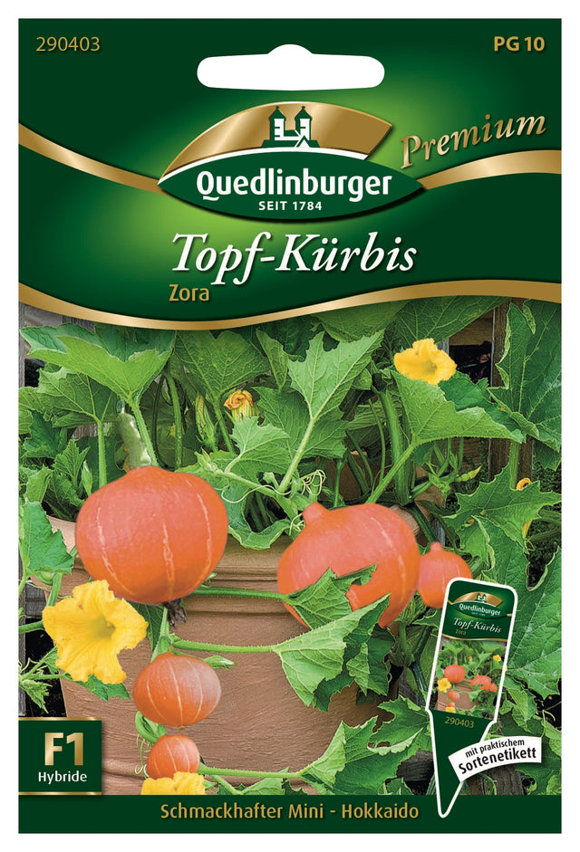 Quedlinburger Saatgut Topf-Kürbis „Zora“