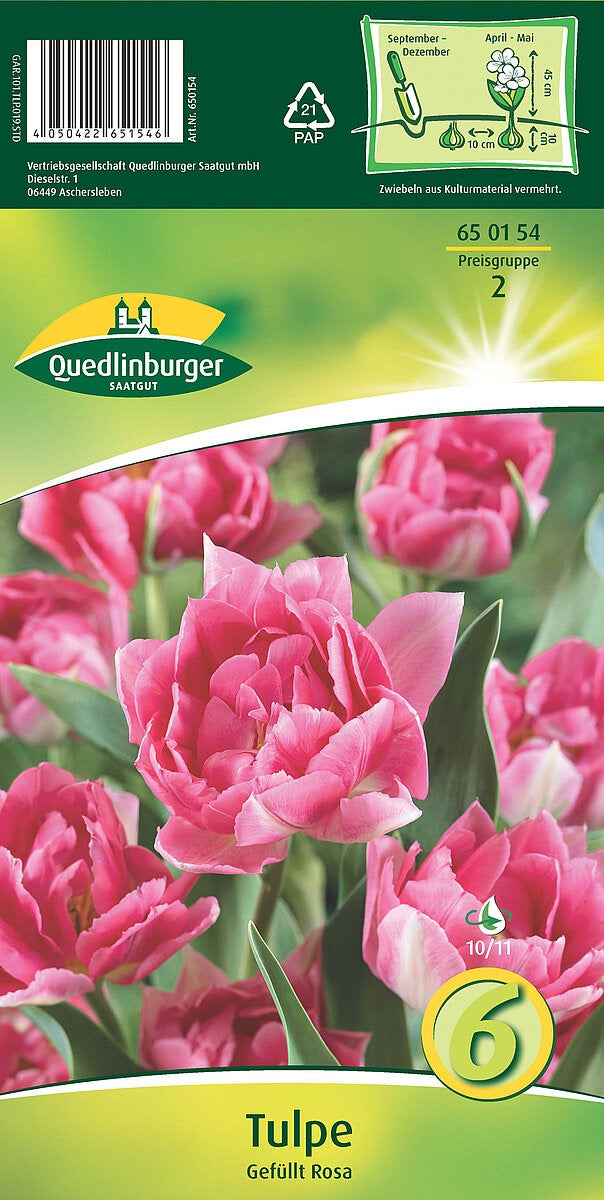 Quedlinburger Saatgut Tulpen „Gefüllt Rosa“
