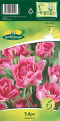 Quedlinburger Saatgut Tulpen „Gefüllt Rosa“