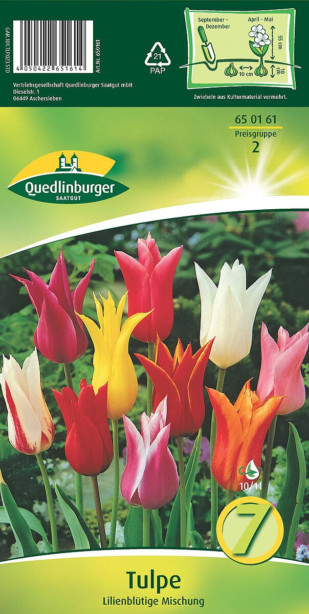 Quedlinburger Saatgut Tulpen „Lilienblütige Mischung“