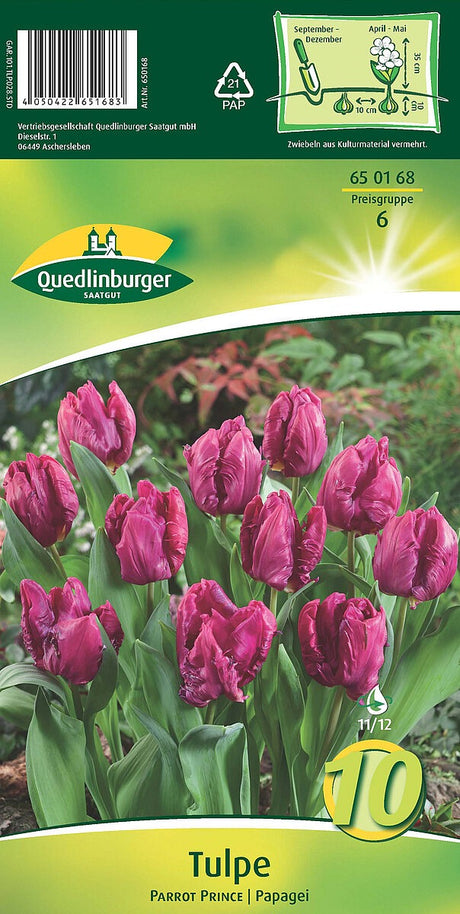 Quedlinburger Saatgut TULPEN „PARROT PRINCE“