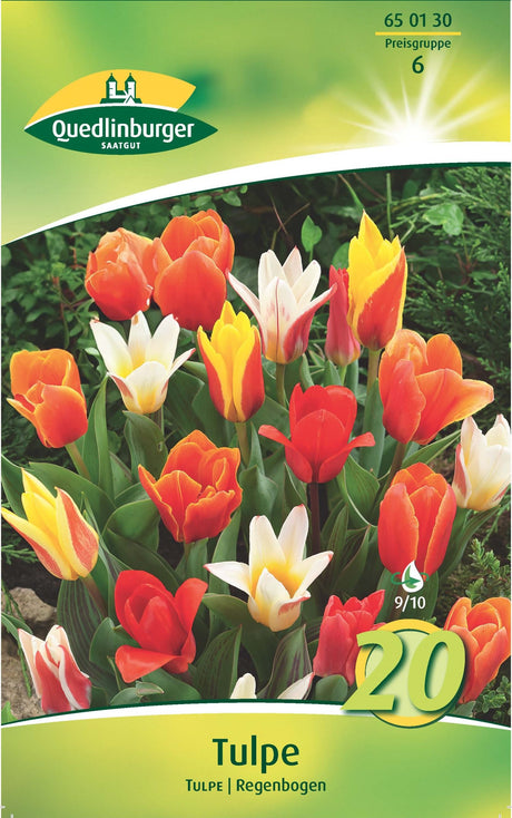 Quedlinburger Saatgut Tulpen „Regenbogen“