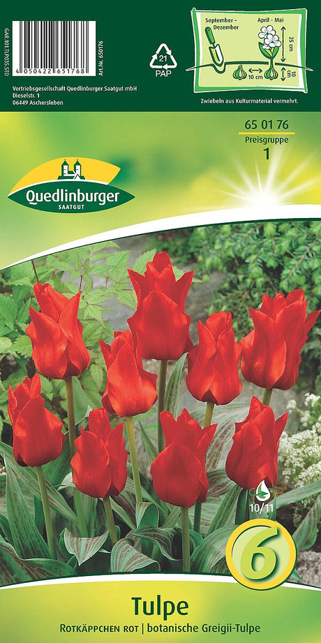 Quedlinburger Saatgut TULPEN „ROTKÄPPCHEN ROT“