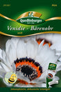 Quedlinburger Saatgut Venidie „Bährenohr“ weiß