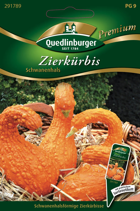 Quedlinburger Saatgut Zierkürbis „Schwanenhals“
