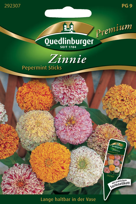 Quedlinburger Saatgut Zinnien „Pepermint Sticks“