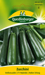 Quedlinburger Saatgut Zucchini „Ambassador“
