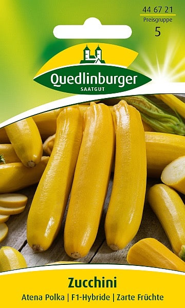 Quedlinburger Saatgut ZUCCHINI „ATENA POLKA“