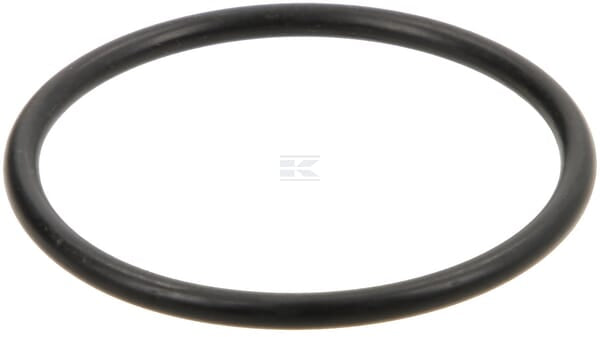 O-Ring